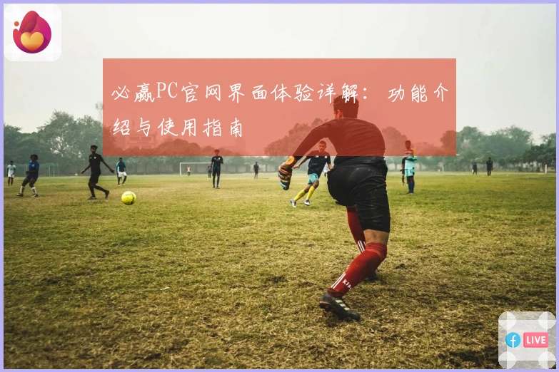 必赢PC官网界面体验详解：功能介绍与使用指南