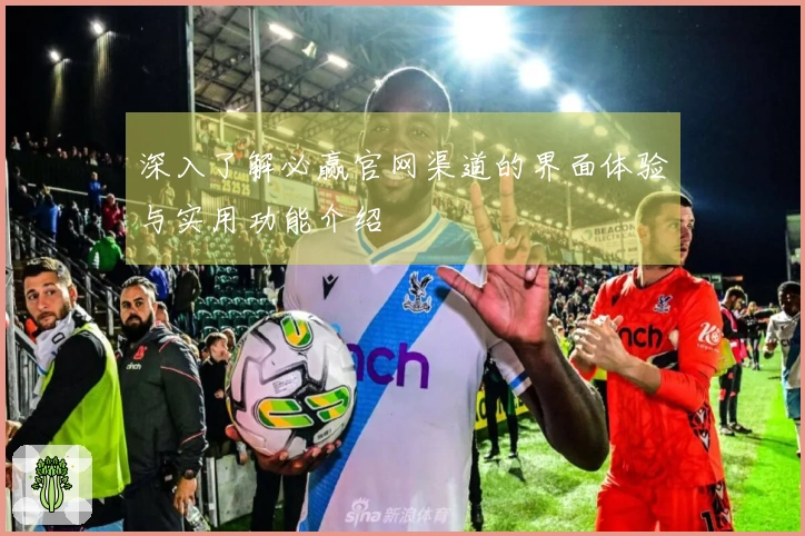 深入了解必赢官网渠道的界面体验与实用功能介绍