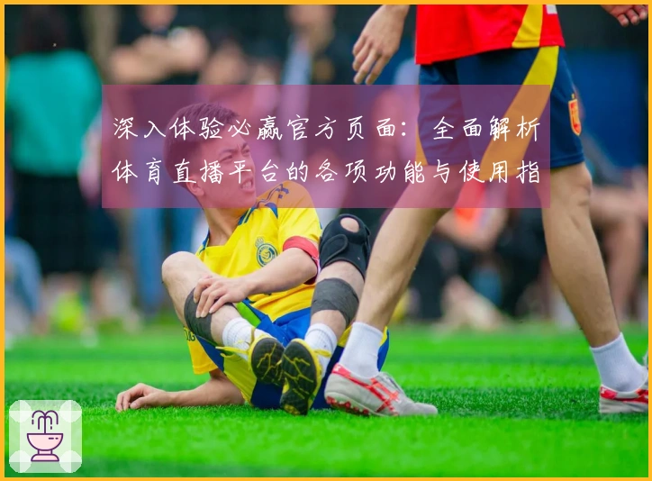 深入体验必赢官方页面：全面解析体育直播平台的各项功能与使用指南